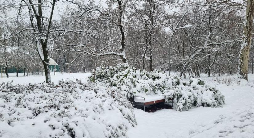 Beteljesült a népi jóslat? Hónapokkal előre lehetett tudni, hogy kemény tél lesz