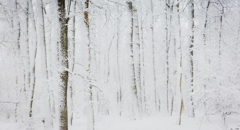 Hajnalonként nem lesz ritka a -15 fok