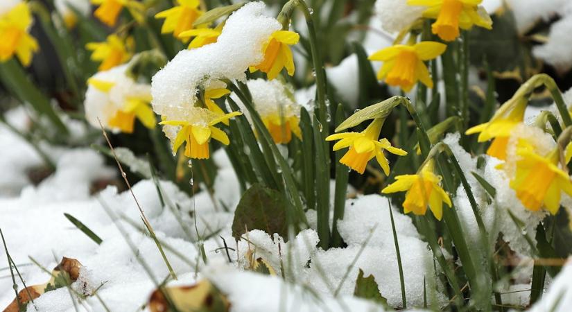 Miért nem érvényes már a március–április szabály?