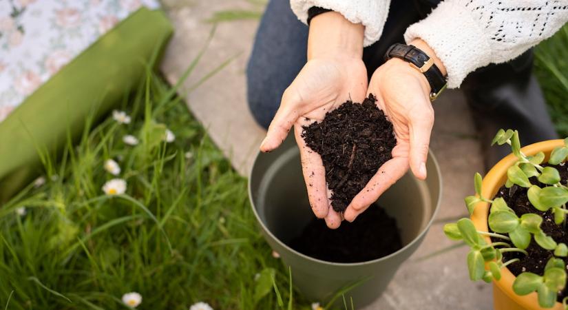 Miért hisszük el minden tavasszal, hogy idén majd másképp csináljuk?