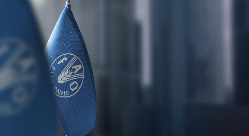 Megállt a drágulás: csökkenni kezdtek az élelmiszerárak