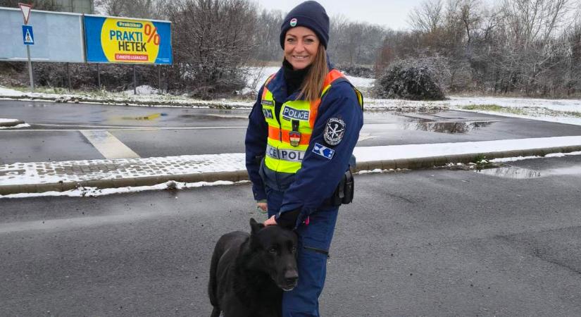 Egy kis simogatás és pár jó szó – így mentették meg Mancsot a rendőrök