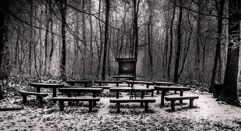 Ha a Normafára készül, erről mindenképp tudnia kell!