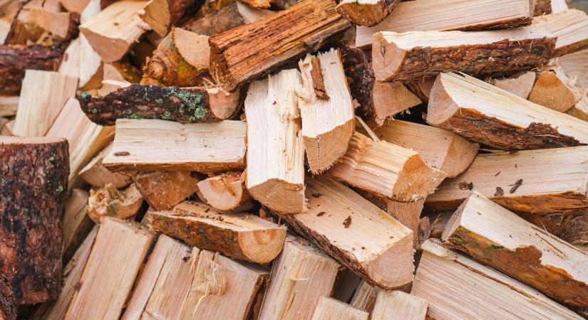 Szociális támogatás: tűzifa is igényelhető Miskolcon