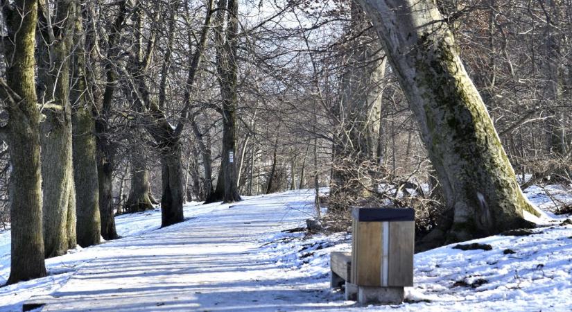 Forgalomkorlátozásra kell számítani a Normafánál