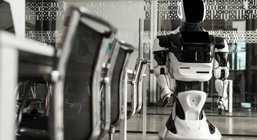 Kína lerohanta a humanoidrobot-piacot