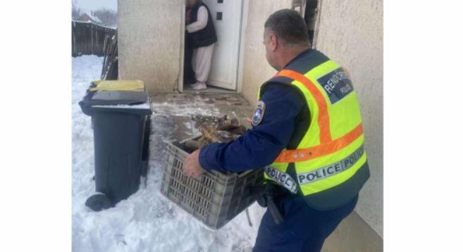 Tüzelőt hordtak az egyenruhások Nyírábrányban