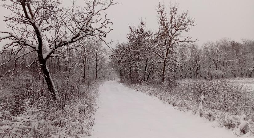 Ez a hó most aranyat ér: így hasznosítható a téli csapadék a mezőgazdaságban