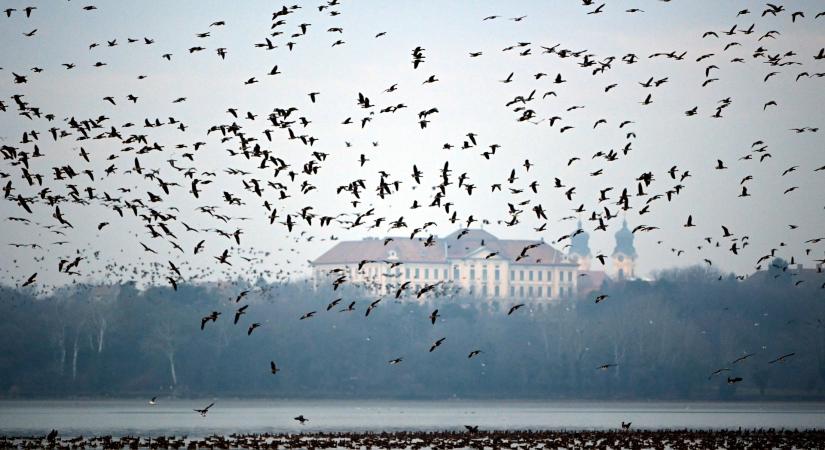 Megjött a jégjelentés a magyarok egyik kedvenc taváról