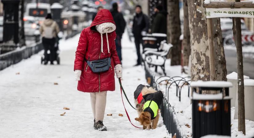 Személyes szálak, egyéni történetek - Amikor tényleg leesett a hó: így vizsgáztak a magyar emberek a téllel szemben