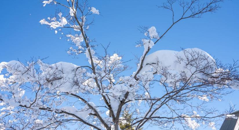 Elképesztő hideg Magyarországon – városok, ahol -20 foknál is hidegebb volt