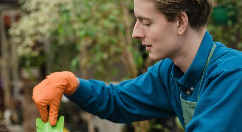 Jó hír: bővül az egyszerűsített foglalkoztatás