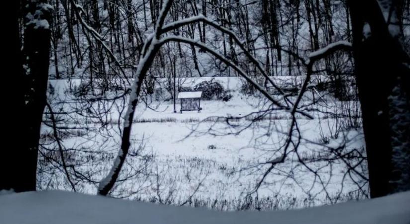 Borzalmas hírek jöttek: elvesztették az eltűnt férfi nyomát a keresőkutyák