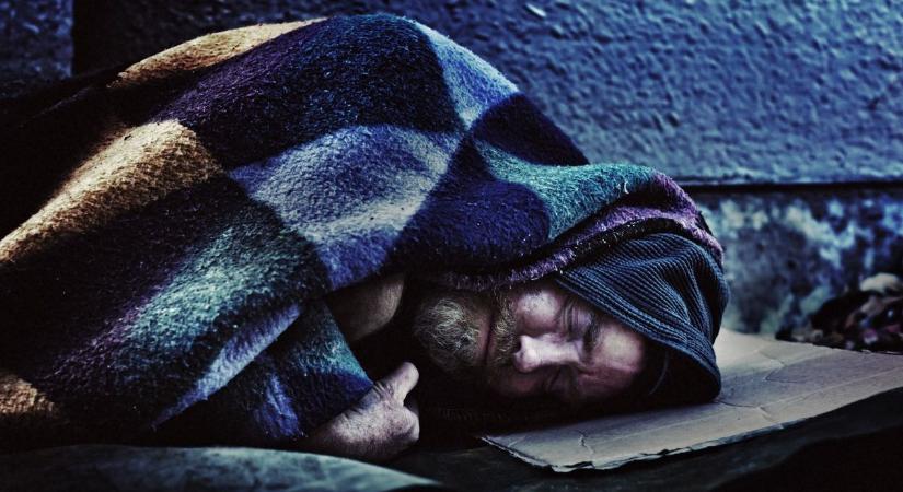 Pukifólia a kihűlés ellen? Bizony nemcsak stresszoldó, hanem életet menthet (videó)