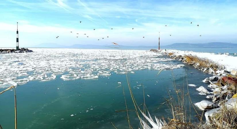 Lellei Gasztro Farsang 2026 Balatonlelle