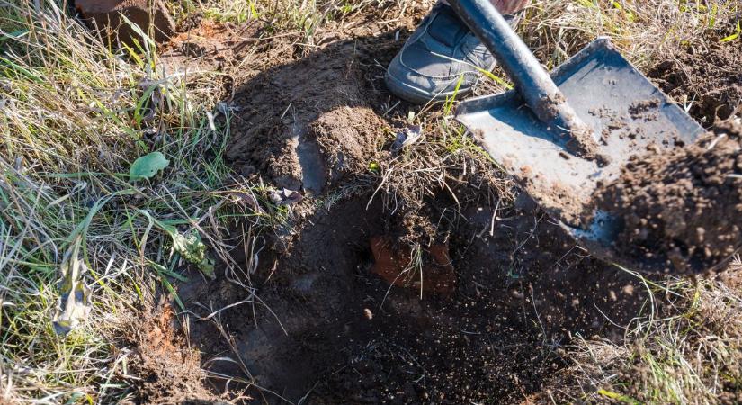 Sokkoló hírt kaptunk - A győri férfi megásatta élettársával a saját sírját a közeli erdőben