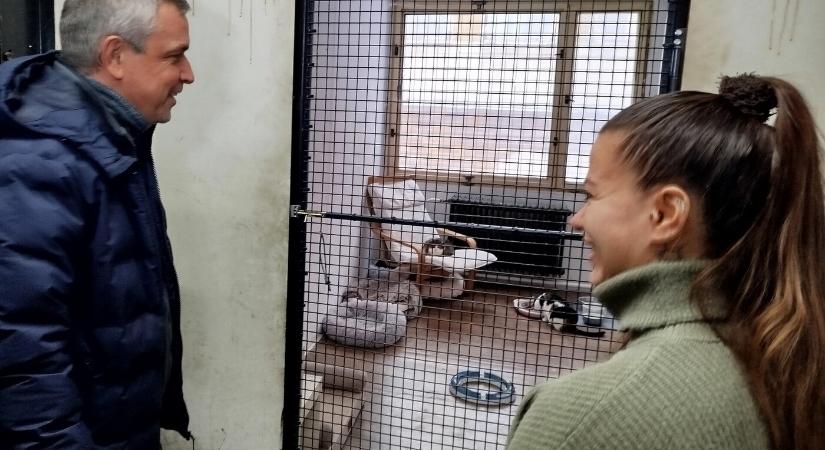 Közös fellépés Komáromban – ádáz fagyban még fontosabb az állatok védelme