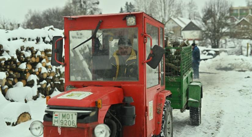 Krízisfával segít a rászoruló családoknak a barcsi önkormányzat