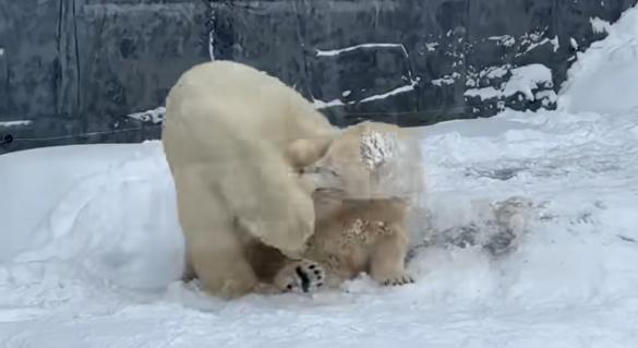 Ez a magyar videó hasít most Amerikában