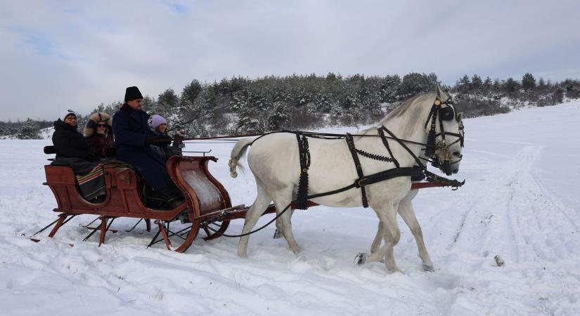 Örök élmény a lovas szánozás Szilvásváradon