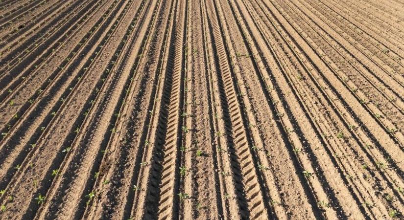 Mercosur-botrány: megszólalt Ursula von der Leyen, majd kicsattan az örömtől – azonnal megkapta a választ a lengyel gazdáktól