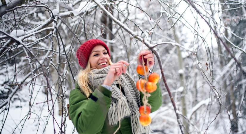 Téli hideg és élelmiszer: ezek a dolgok biztosan tönkremennek a teraszon -10 fokban