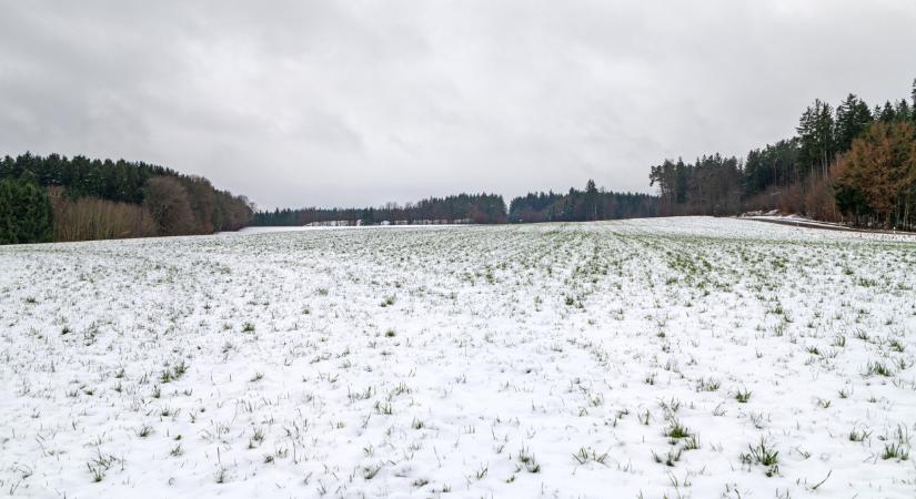 Elintézheti a veszélyes károsítókat a rég nem látott fagy? Itt az igazság
