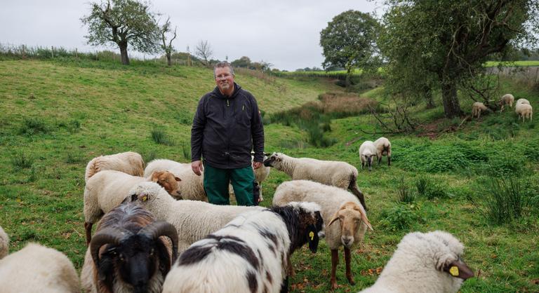 Íme, a világ első, kizárólag homoszexuális kosokból álló akolja