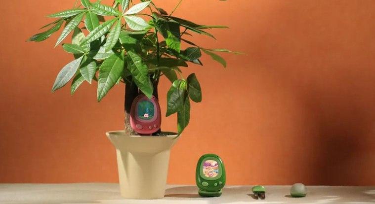 Tamagocsit kap a szobanövény, hogy segítsen rászoktatni a gyerekeket a gondozásra