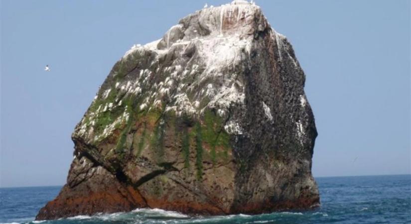 Rockall rejtélye: miért vitatkozik négy ország egy lakatlan szikláról?