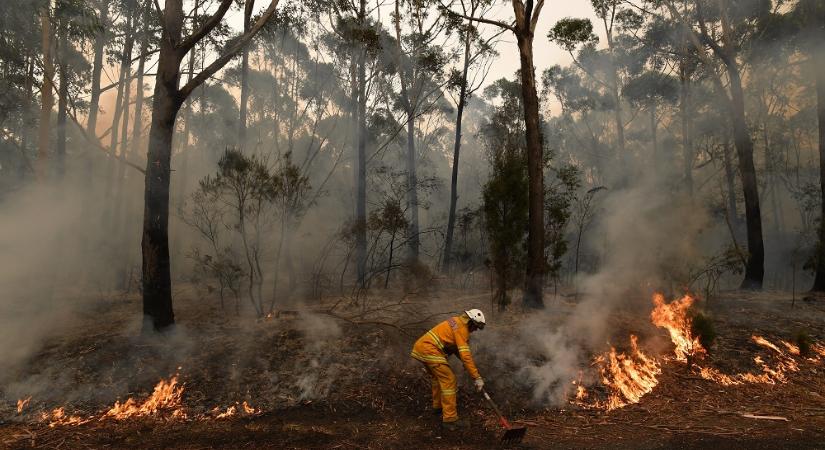 Katasztrófahelyzetet hirdettek a hatóságok Ausztráliában