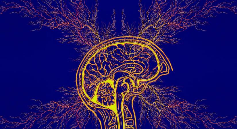 Megcsinálták a gyógyszert, ami megállíthatja az Alzheimer-kór kialakulását