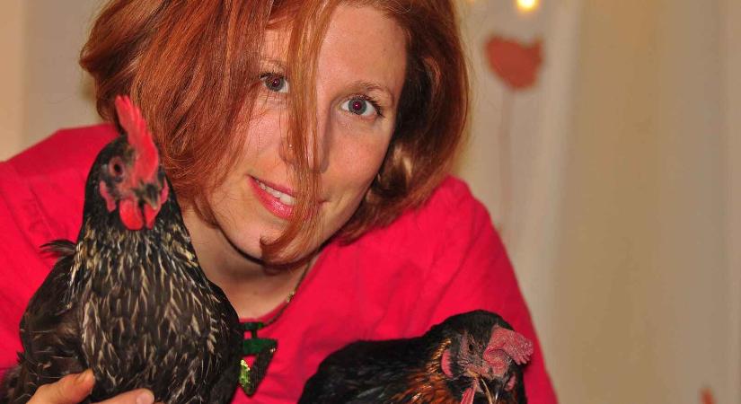 A CsodÁllat Tere – közösségi falfestmény az állatokért Budapesten