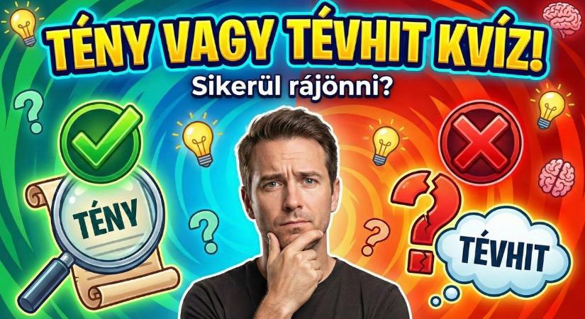 Tény vagy tévhit kvíz: 10 állítás, ahol dől a papírforma – Neked mennyi találatod lesz?