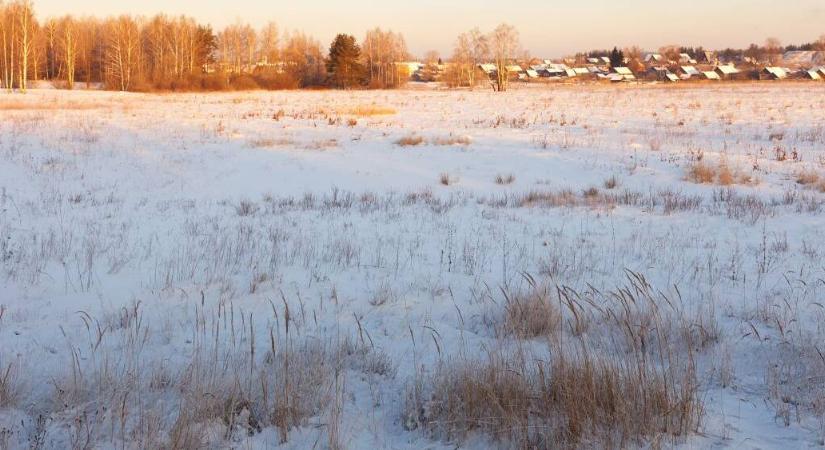 Irdatlan méretű szörnybe botlottak Zalában, ilyet a legöregebbek sem láttak még