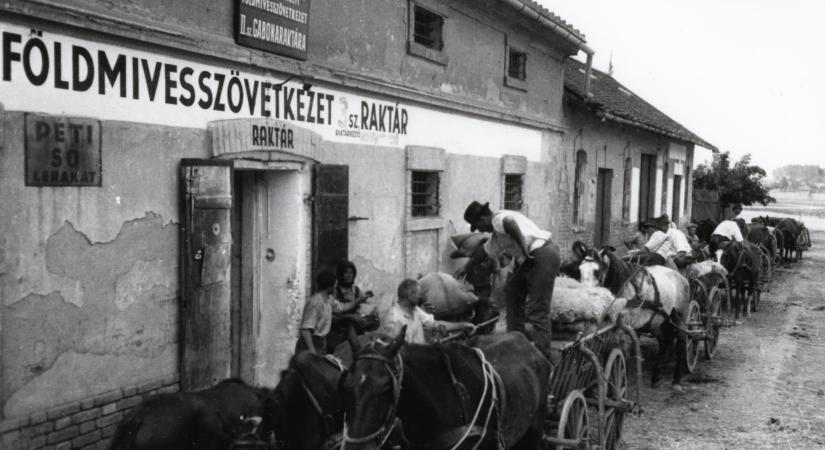 120 éve rendezték az első gazdabált Vásárhelyen