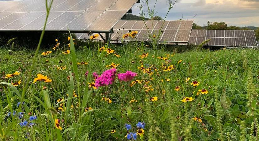 Tavaly Németországban már több áramot állítottak elő napenergiából, mint lignitből