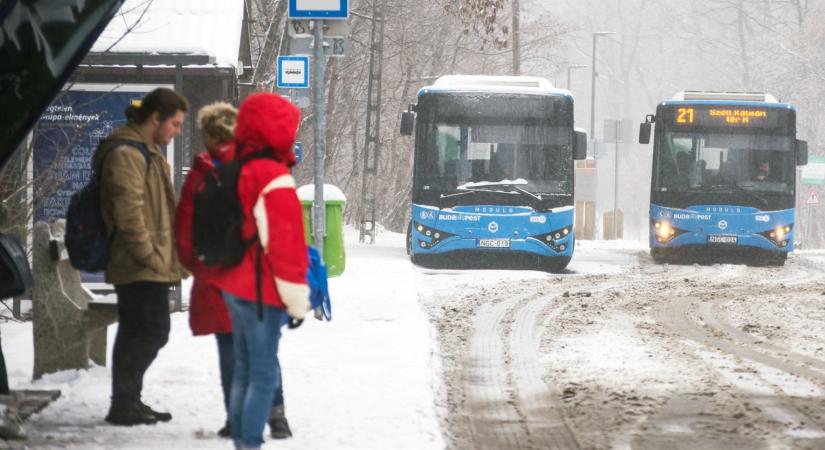 BKK: aki a Normafára megy szánkózni, válassza a közösségi közlekedést!