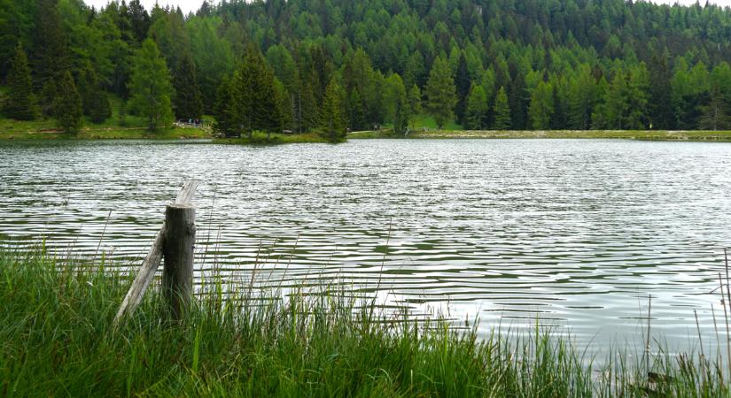 Sellőnek mondta magát a meztelen nő, majd rátámadt a rendőrökre