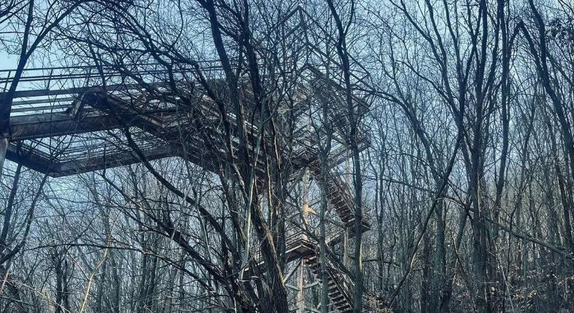 Rozsda és csend a Mátrában – friss urbex fotók az elfeledett síugrósáncról