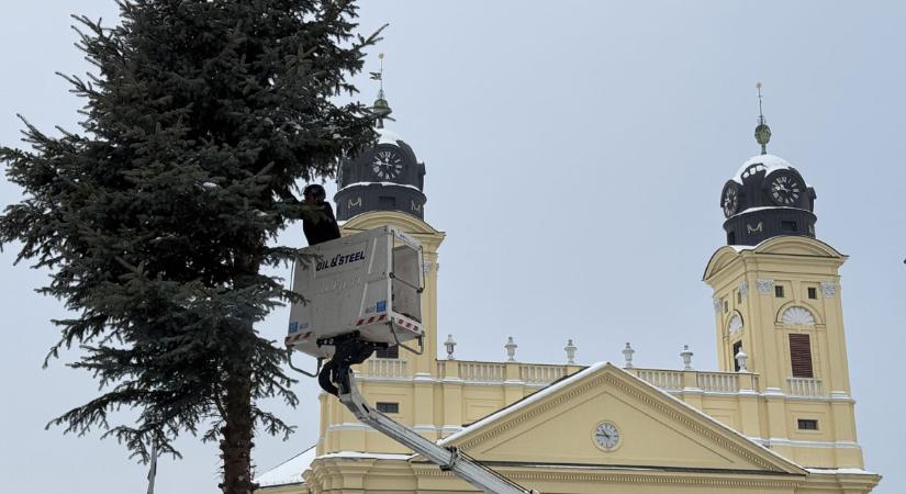 Lebontották Debrecen karácsonyfáját, meleget visz majd több otthonba – videóval