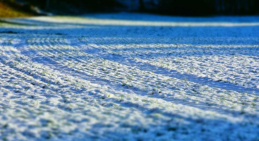 Ha ez a hó nem jött volna meg, nagy baj lenne – mutatjuk, miért