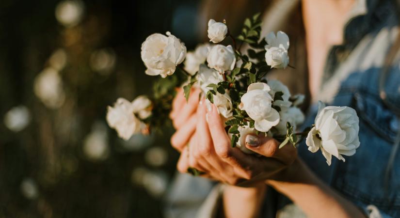 8 apró gesztus, ami azonnal szerethetővé és kedvessé tesz