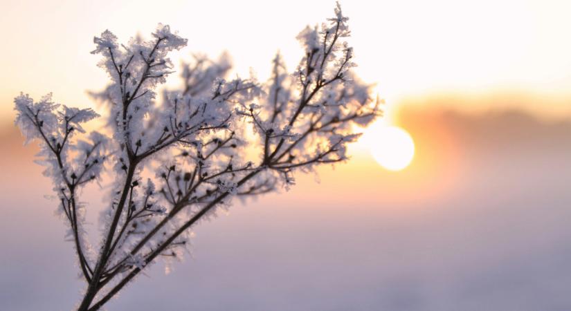 A lélek még kapaszkodna, a realitás már kérdez: mit tanít a Bak–Rák feszültség az év elején nekünk?