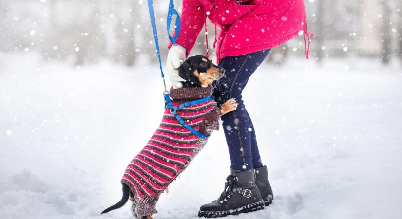 Hófúvásra figyelmeztet a meteorológia szombaton és vasárnap