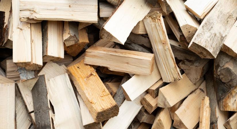 Most kell igényelni a támogatást, családonként csak egy ember veheti igénybe