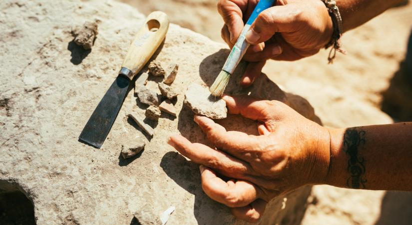 Döbbenetes felfedezés a magyar kutatóktól: durva, milyen állatot találtak