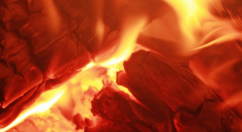 Ezt semmiképp ne csináld a lebontott karácsonyfával, a Katasztrófavédelemtől érkezett a figyelmeztetés