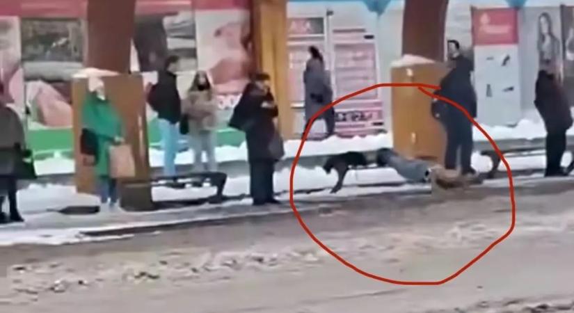 Teljes őrület! Félmeztelen férfi edzett a mínuszban egy szolnoki buszmegállóban - Videó