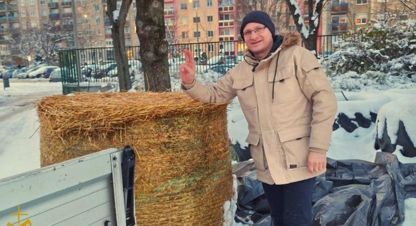 Ingyen szalmával gondoskodnak az állatokról az extrém hidegben